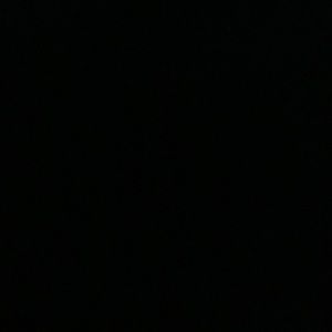 Meet your Posher, Hazel